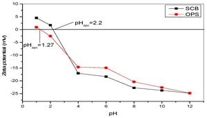 Optimizing Antioxidant Extraction From Sugarcane Peel Polysaccharides