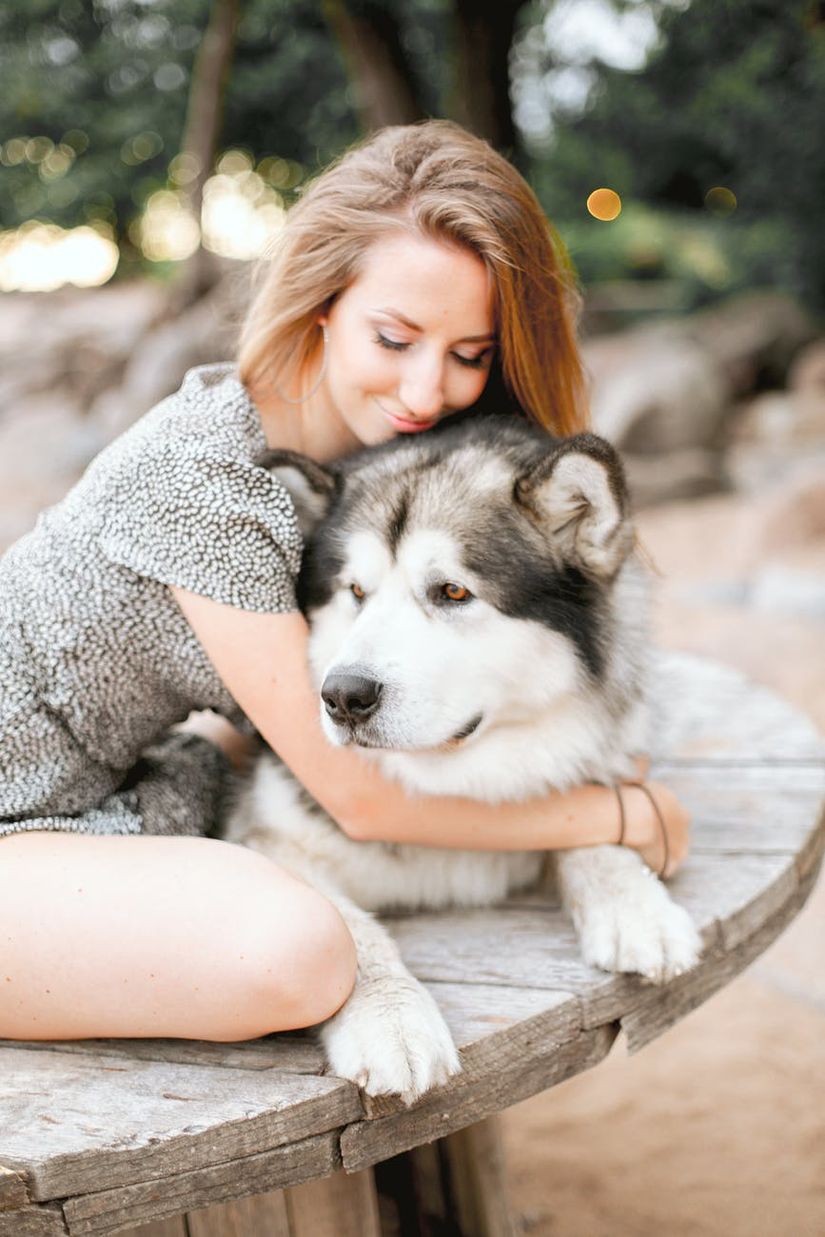 Köpek ve onun insan arkadaşı