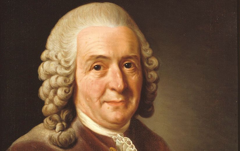 Linnaeus