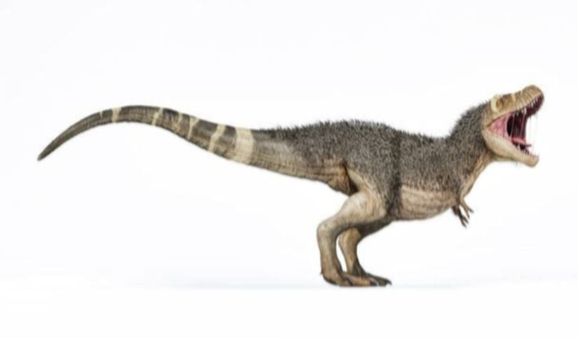 Coelrusauria