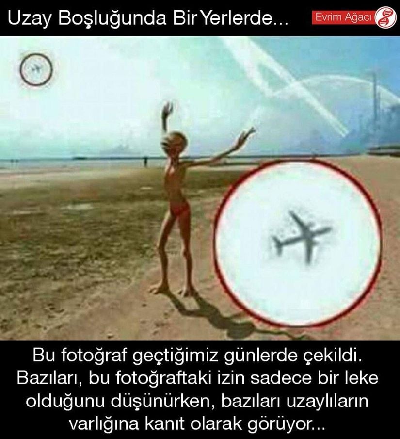 Elbette bu fotoğraf bile, söz konusu &quot;uzaylılar Dünya'yı ziyaret etti&quot; iddiaları desteklemek için Photoshop'a ihtiyaç duyduğumuzu gösteriyor. Yine de, ilk etapta ne olduğu anlaşılmayan, sonrasında ise &quot;Haaa...&quot; ile eşlik edilen bir farkındalığa ulaştıran bir paylaşım olduğu için yer vermek istedik.