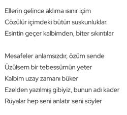 Şair burada ne demek istemiş?