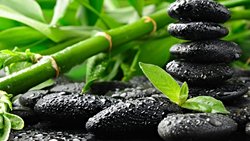 Zen Felsefesi ve Bilimin Işığında Şimdiki Anın Sırları