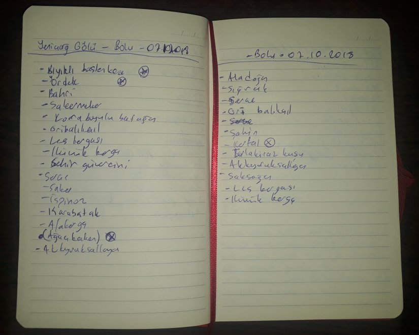 Gözlem Defterinin Örnek Bir Sayfası