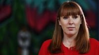 Angela Rayner’s allotment sell-off is an act of class treachery