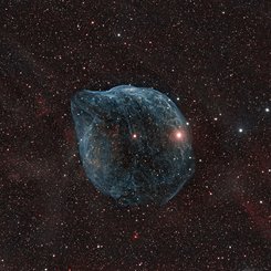 SH2-308: The Dolphin Head Nebula