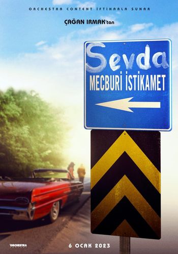 Sevda Mecburi İstikamet