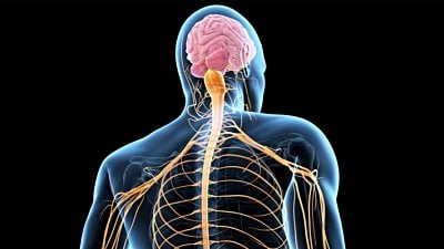 Amyotrofik Lateral Skleroz (ALS) Nedir? Motor Nöron Hastalığı Tedavi Edilebilir mi?