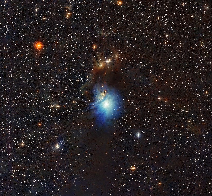 IC 2631