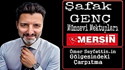 Münzevi Mektupları  -  ÖMER SEYFETTİNİN GÖLGESİNDEKİ ÇARPITMALAR
