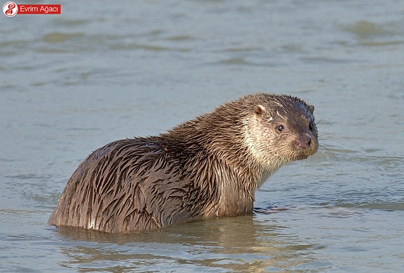 Sabahın ilk ışıklarında Zonguldak/Filyos'tan.