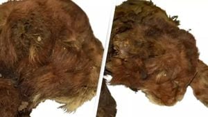 Ancient Mummy Of Saber-Toothed Kitten Stuns Scientists