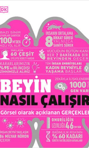 Beyin Nasıl Çalışır