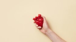 29 Eylül Dünya Kalp Günü