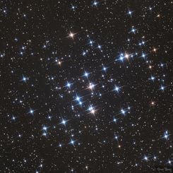  M44: The Beehive Cluster 