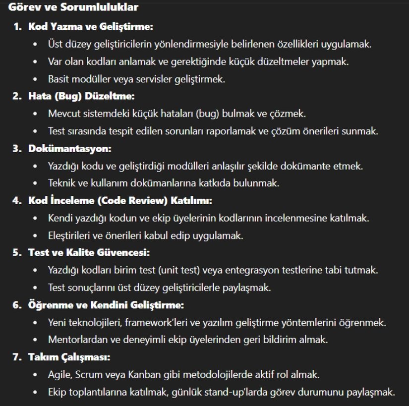ChatGPT'ye "Junipr Yazılımcının Görev Tanımı" soruldu.