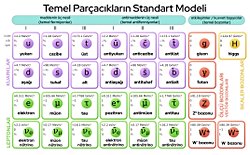 Kuantum prensipleri tüm parçacıklar için geçerli midir?