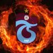 Arda sisman