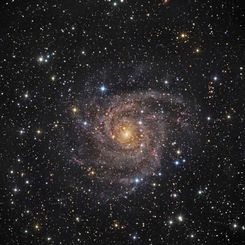 Hidden Galaxy IC 342