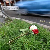 Eine Tote, sieben Verletzte - Unfallfahrer wieder frei