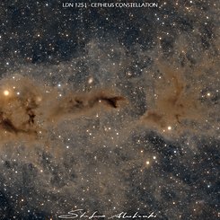  Lynds Dark Nebula 1251 