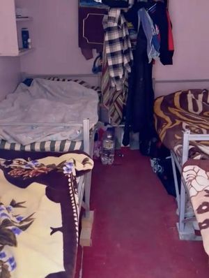 Shocking Conditions Found In Eforie Nord Coastal Businesses
