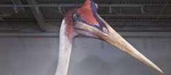 Azhdarchid Pterosaur ile İnsan Kıyaslaması