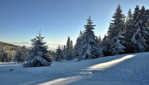 Chilly Conditions Expected Across Poland This February