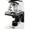 Celestron Labs CB2000C Biyolojik Bileşik Mikroskop
