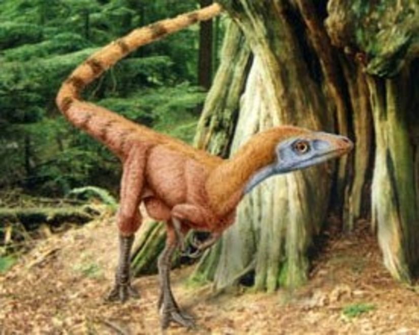 Sinosauropteryx