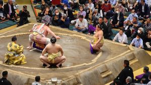 Wakatakakage Shines At January 2025 Sumo Tournament The Pinnacle Gazette