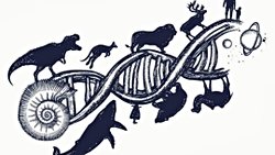 Evrim Etimolojik Olarak Yanlış