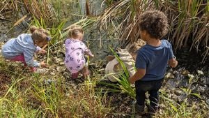 Natural Environments Can Alleviate GI Symptoms In Children