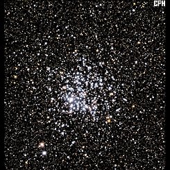 M11: The Wild Duck Cluster