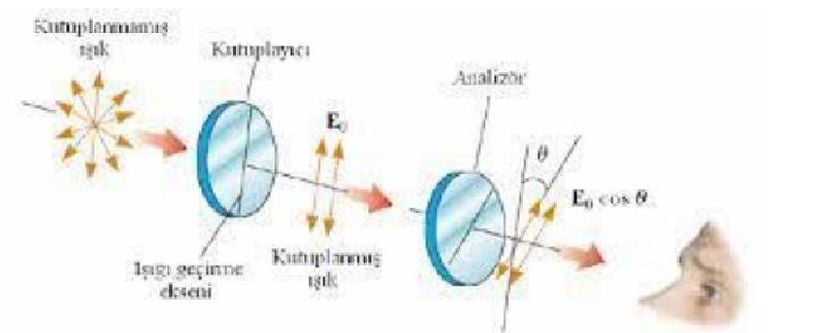Seçici Soğurma ile Polarizasyon