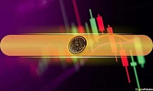 Canton Coin Rallies After Swyftx Listing And Market Surge