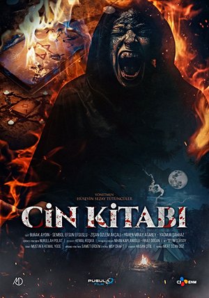 Cin Kitabı
