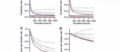 Zararlı Mutasyonlar, Yararlı Mutasyonların Popülasyonda Yayılma Hızını Artırıyor!