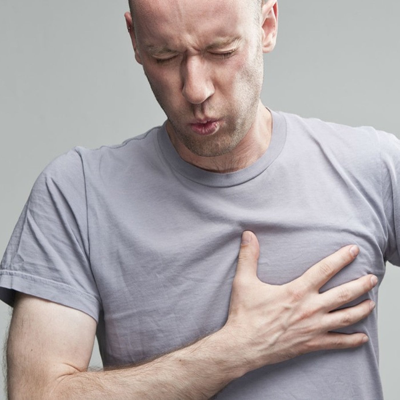 Evrim Ağacı ile Bilime Dair Her Şey!