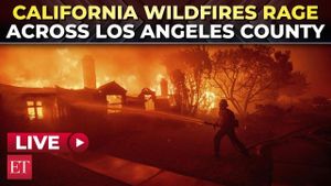 Los Angeles County Ramps Up Wildfire Recovery Efforts