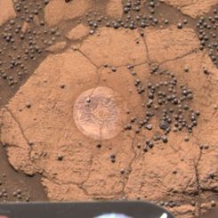 A Berry Bowl of Martian Spherules