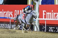 Dubai World Cup 2025: Hit Show wins $12m race, plus all the results from Meydan - Arabian Business: Latest News on the Middle East, Real Estate, Finance, and More