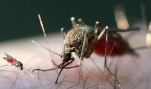 Global Viral Threats Surge As Outbreaks Cross Borders