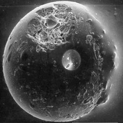 A Spherule from the Earth's Moon