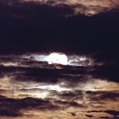 Partial Eclipse, Cloudy Day