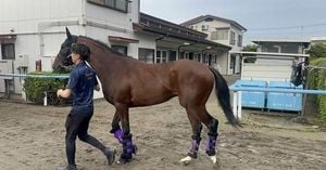 Excitement Builds For NHK Mile Cup At Tokyo Racecourse