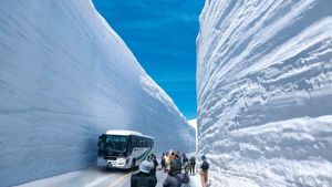 Heavy Snowfall Disrupts Transportation Across Japan