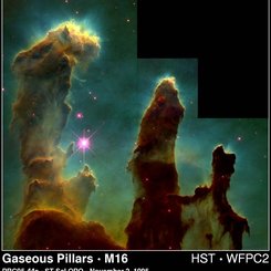 From Eagle's EGGs A Star Is Born