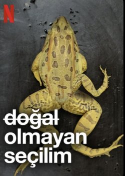 Biyolojik evrim mühendisliğe nasıl yön veriyor?