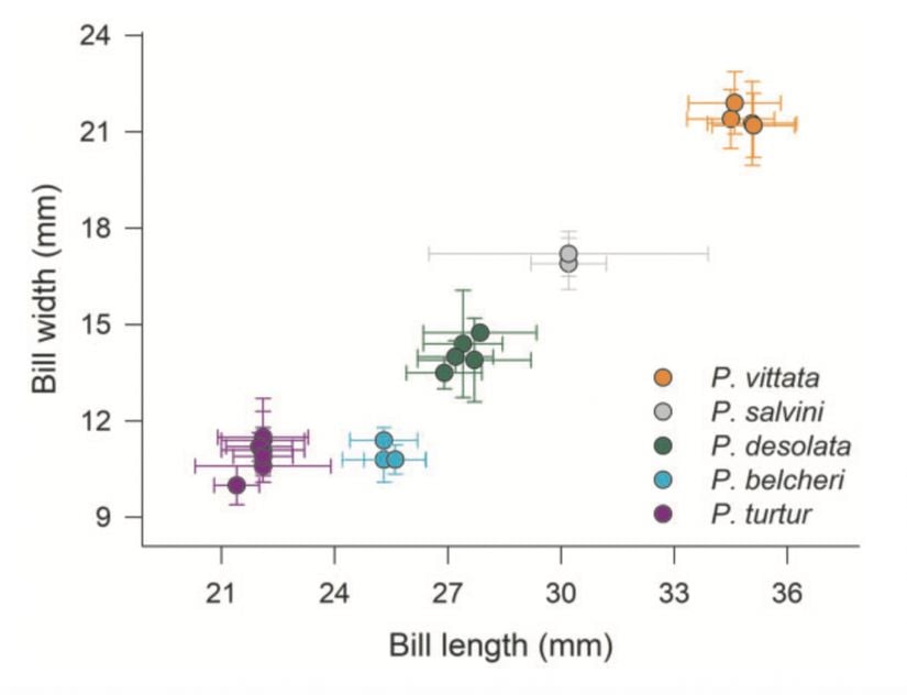 Örneklenen tüm Pachyptila (Procellariiformes) türleri için gaga genişliği ve uzunluğu. Türler renk kodludur [Geniş gagalı priyonlar (Pachyptila vittata): turuncu daireler. Salvin priyonları (Pachyptila salvini): gri daireler. Antarktika priyonları (Pachyptila desolata): yeşil daireler. İnce gagalı priyonlar (Pachyptila belcheri): mavi daireler. Peri priyonları (Pachyptila turtur): mor daireler.] Daireler koloni başına ortalamaları belirtir ve hata çubukları standart sapmalara karşılık gelir. Yalnızca canlı bireylerden veya yeni cesetlerden gelen veriler dahil edilmiştir.